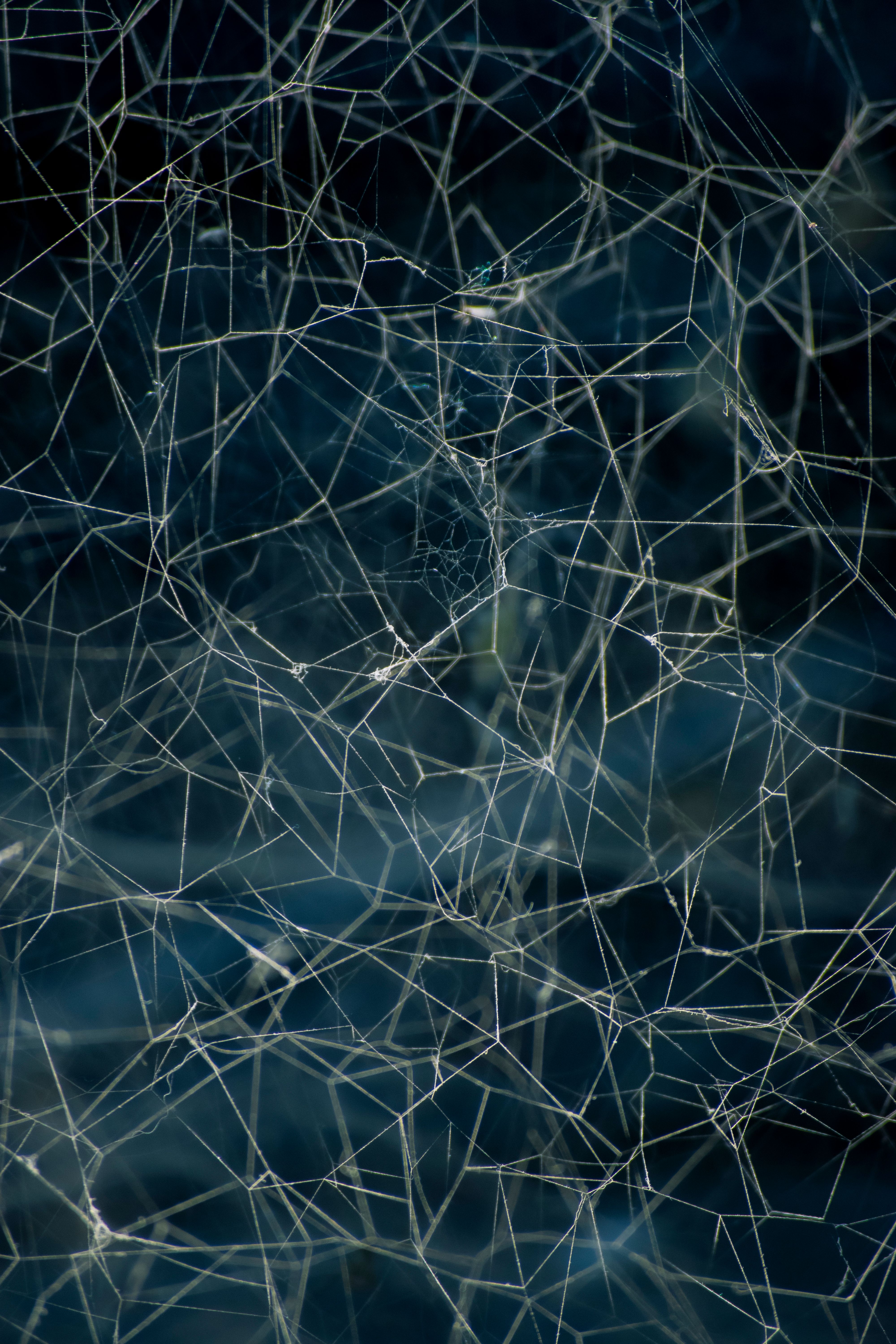 CloakMesh